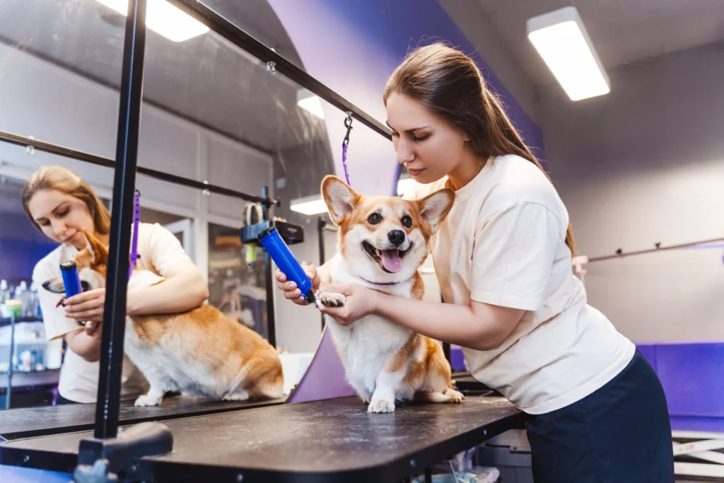 mobile dog grooming near me